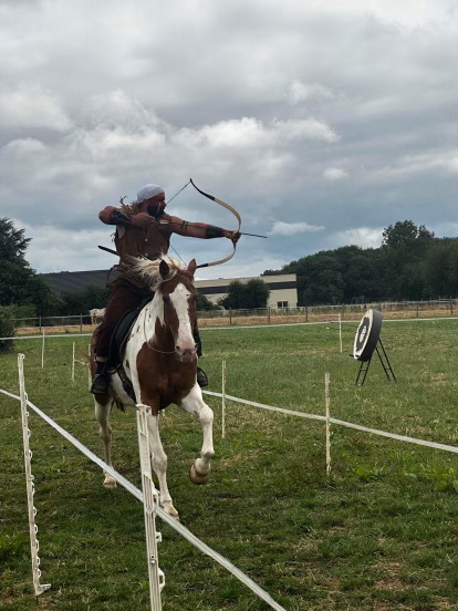 Spectacle équestre 