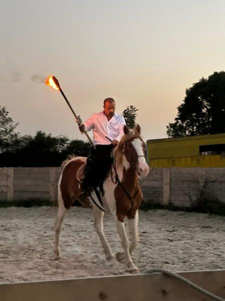 Spectacles équestres pour anniversaire à Beauvais